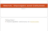 10.3 Starch Glycogen and Cellulose