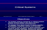 Critical System