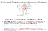 Cells and Organs of the Immune System 2015 SV(1