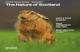 Scottish National Heritage - The Nature of Scotland Spring 2011 Issue_11
