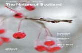 Scottish National Heritage - The Nature of Scotland Winter 2011 Issue 14
