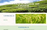 Agronomic classification of crops