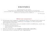 Enzymes Overview PPP 3