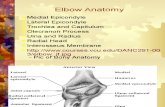Chapter 19 - Elbow - Class Copydsfds