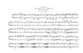 Fantasy in c (Grand Sonata), D 48