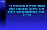 The recording of event related brain potentials (ERPs) and event related magnetic fields (ERFs)