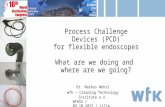 Process Challenge Devices (PCD) for flexible endoscopes What are we doing and where are we going? WFHSS / 09.10.2015 / Lille Dr. Markus Wehrl wfk – Cleaning.