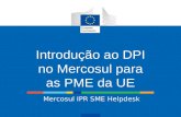 Introdução ao DPI no Mercosul para as PME da UE Mercosul IPR SME Helpdesk.