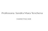Professora: Sandra Mara Tenchena MARKETING B2B. Marketing B2B - Marketing Industrial Os profissionais de marketing B2B atuam no maior de todos os mercados;