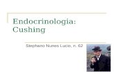 Endocrinologia: Cushing Stephano Nunes Lucio, n. 62.