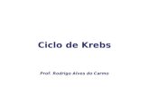 Ciclo de Krebs Prof. Rodrigo Alves do Carmo. Ciclo de Krebs Descoberto por Hans Krebs, em 1937.