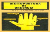 Digitopuntura de Urgencia - Lawson Wood -parbiomagneticoimanes files wordpress com 65.pdf