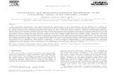 1998 - Tsuprun - Ultrastructure and Immunohistochemical Identification of the Extracellular Matrix of the Chinchilla Cochlea