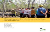 Managing smallholder teak plantations