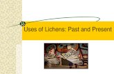 Uses of Lichens