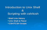 Unix Shell Programming Workshop