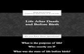 Life After Death Life Before Birth