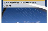 SAP NetWeaver Business Client - Introduction