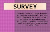 Survey Style Sample