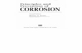 Principles and Prevention of Corrosion Jones