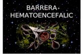 Barrera Hematoencefalica (1)