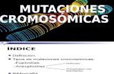 Mutaciones Cromosmicas Fotos