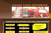 Pasos Export 15