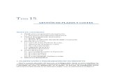Tema 15. Gestion de plazos y costes.pdf