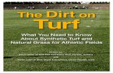 The Truth About Artificial Turf