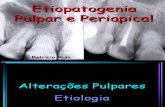 Etiopatoginia Pulpar Periapical Completa