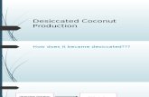 Report Desiccated Coconut Production (OJT)