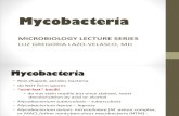 20 Mycobacteria