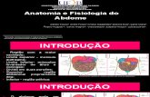 Anatomia e Fisiologia Do Abdome
