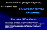 Glikolisa (Glycolysis)
