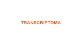 9-Transcriptoma Proteoma y Analisis de La Secuencia de Adn