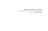 Bulk Rename Utility - Manual.pdf