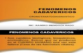 FENOMENOS CADAVERICOS 2015