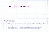 Autopsy, Causes
