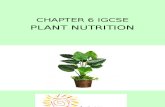 plant nutrition Igcse