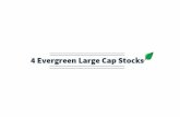 4 Evergren Large Cap Stocks