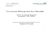 Vt Blueprint for Health Annual Report 2013