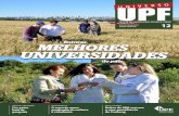 Revista Universo UPF 12