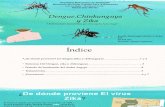 Dengue Chinkungunya y Zika