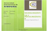 Neurolinguistica y Psicolinguistica (Semejanzas y Diferencias) - Up