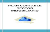 Plan Contable Sector Inmobiliario (1)