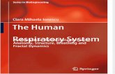 The Human Respiratory System - An Analysis of the Interplay Between Anatomy, Structure, Breathing and Fractal Dynamics (2013) 2
