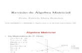 Econometria_Revisao Algebra Matricial