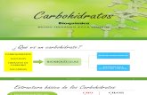 Carbohidratos Bioquimica USMP
