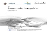Hernia Commissioning Guide Published