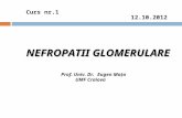 1.nefropatii glomerulare